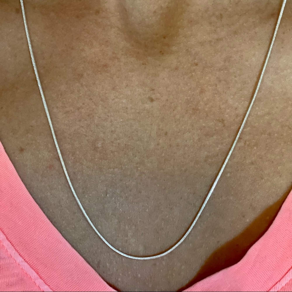 22” Sterling Silver Snake Chain